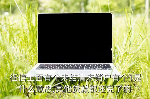  征信上面有个未结清未销户有个1是什么意思,其他贷款都还完了的