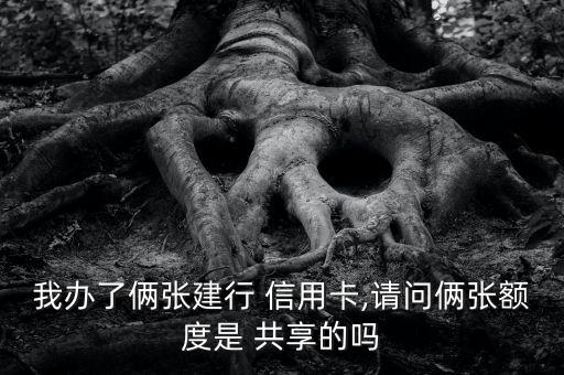 我办了俩张建行 信用卡,请问俩张额度是 共享的吗