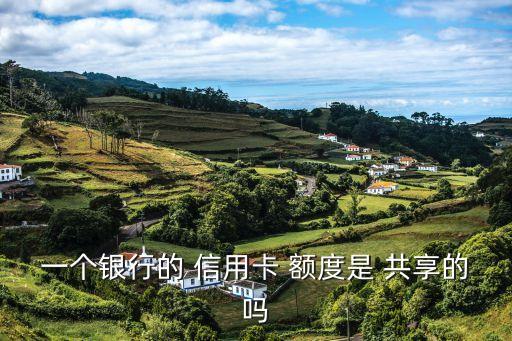 一张两张信用卡额度共享,两张信用卡可以一张还一张吗