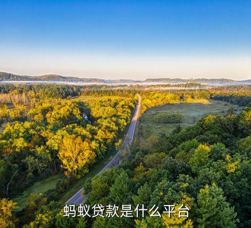  蚂蚁贷款是什么平台
