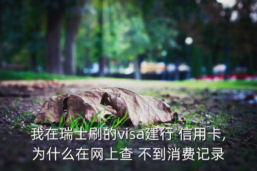 我在瑞士刷的visa建行 信用卡,为什么在网上查 不到消费记录