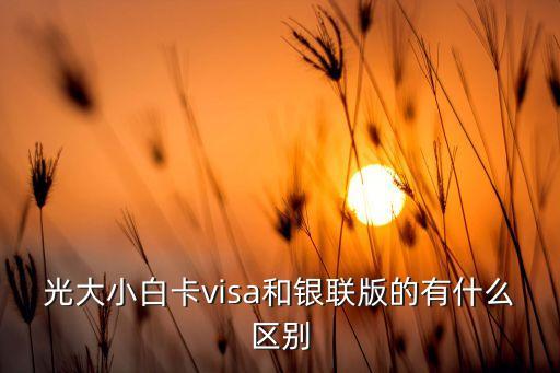 光大小白卡visa和银联版的有什么区别