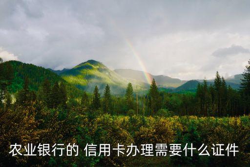 农业银行的 信用卡办理需要什么证件