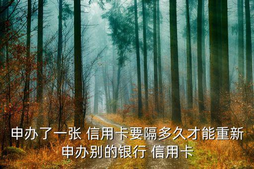申办了一张 信用卡要隔多久才能重新申办别的银行 信用卡