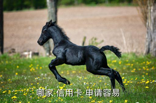 哪家 信用卡 申请容易