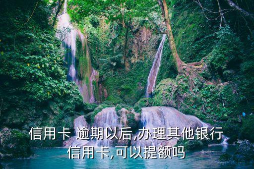  信用卡 逾期以后,办理其他银行 信用卡,可以提额吗