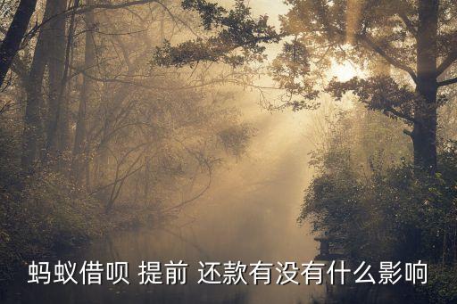 蚂蚁借呗 提前 还款有没有什么影响