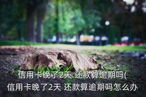 信用卡迟还款了两天
