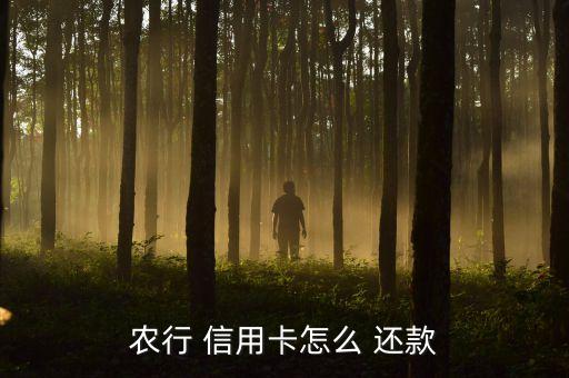 农行 信用卡怎么 还款