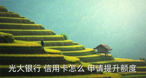 光大银行 信用卡怎么 申请提升额度