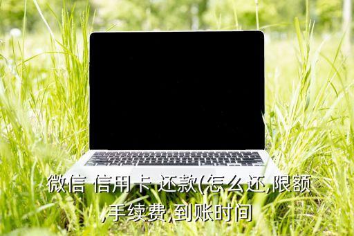  微信 信用卡 还款(怎么还,限额,手续费,到账时间