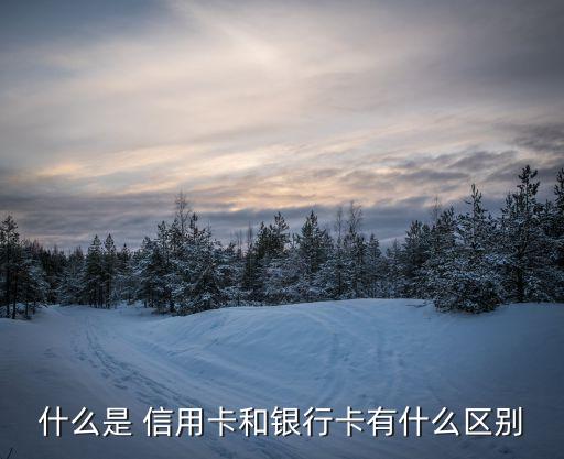 什么是 信用卡和银行卡有什么区别