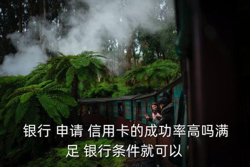  银行 申请 信用卡的成功率高吗满足 银行条件就可以