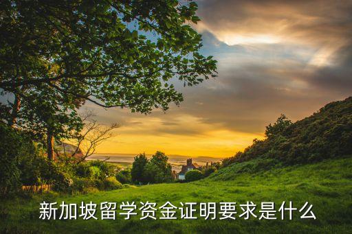  新加坡留学资金证明要求是什么
