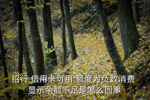 招商信用卡显示负额度