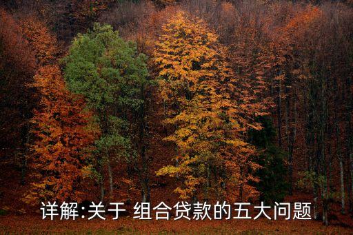 组合贷 夫妻 信用卡分期,微粒贷和信用卡分期哪个便宜
