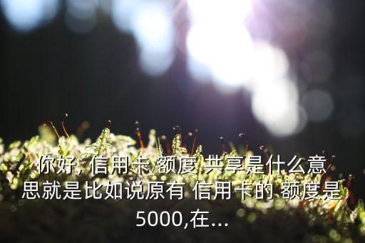 你好, 信用卡 额度 共享是什么意思就是比如说原有 信用卡的 额度是5000,在...