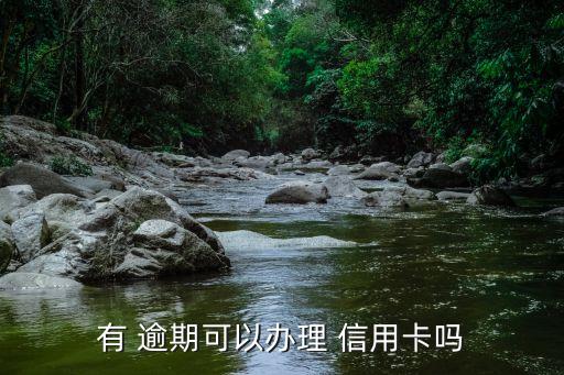 有 逾期可以办理 信用卡吗