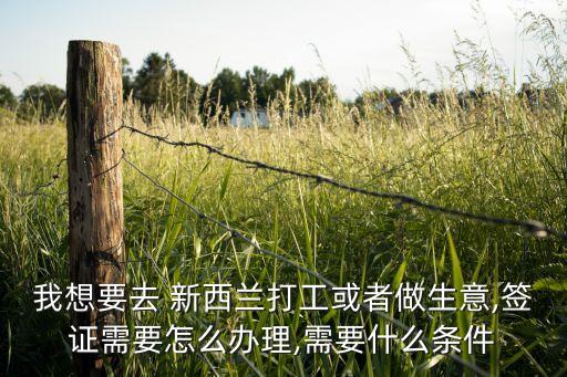 我想要去 新西兰打工或者做生意,签证需要怎么办理,需要什么条件