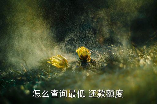 怎么查询最低 还款额度