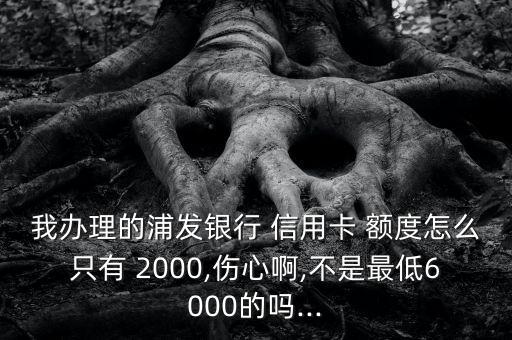 办2000额度信用卡额度,信用卡临时额度怎么变成固定额度