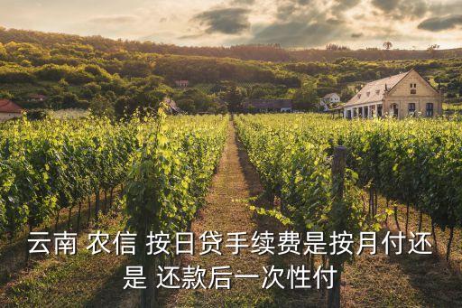 农信信用卡按日贷怎么还款,云南农信信用卡按日贷