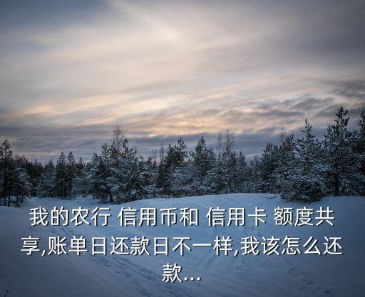 我的农行 信用币和 信用卡 额度共享,账单日还款日不一样,我该怎么还款...