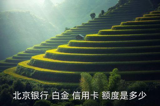 白金信用卡额度多少,平安银行好车主白金信用卡额度多少