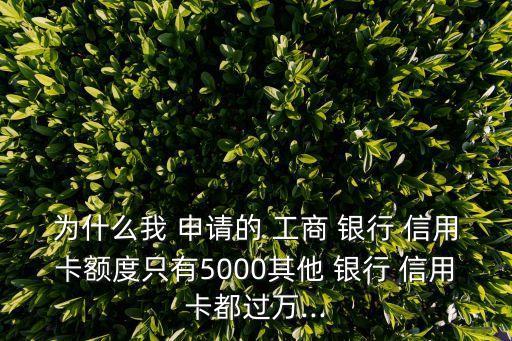 为什么我 申请的 工商 银行 信用卡额度只有5000其他 银行 信用卡都过万...