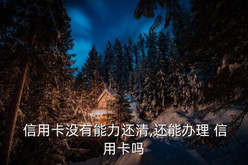  信用卡没有能力还清,还能办理 信用卡吗