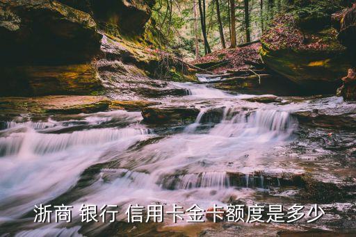 浙商银行信用卡app 调额