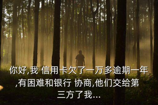 信用卡协商还款推到三方