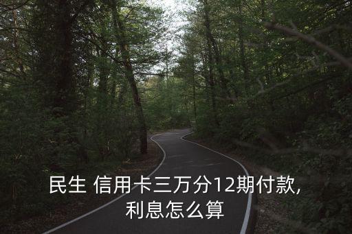 民生信用卡还款利息多少
