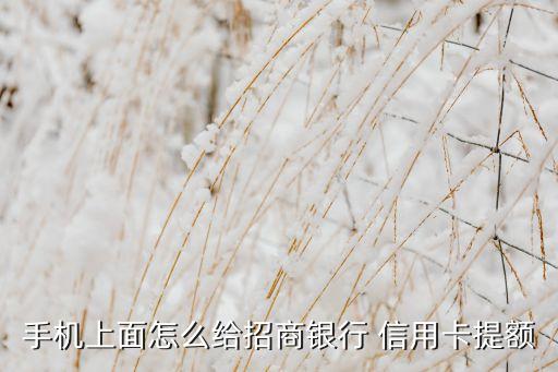 如何在信用卡app上提升信用卡额度