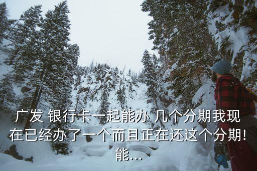 广发 银行卡一起能办 几个分期我现在已经办了一个而且正在还这个分期!能...