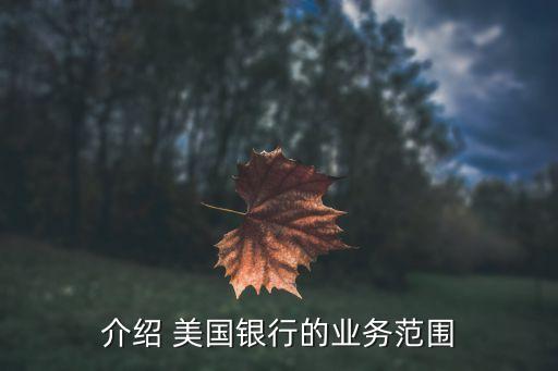 介绍 美国银行的业务范围
