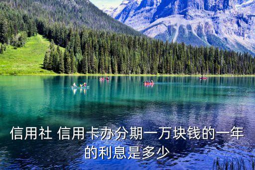 信用社 信用卡办分期一万块钱的一年的利息是多少