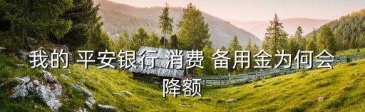 平安信用卡消费备用金额度