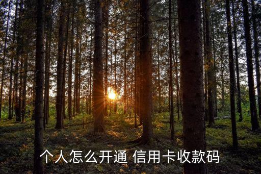 个人怎么开通 信用卡收款码