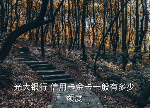 光大信用卡联名卡额度高吗
