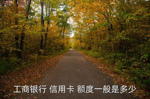 商业信用卡有多少额度,信用卡商业监督法70条