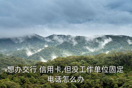 想办交行 信用卡,但没工作单位固定电话怎么办