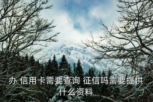 办 信用卡需要查询 征信吗需要提供什么资料
