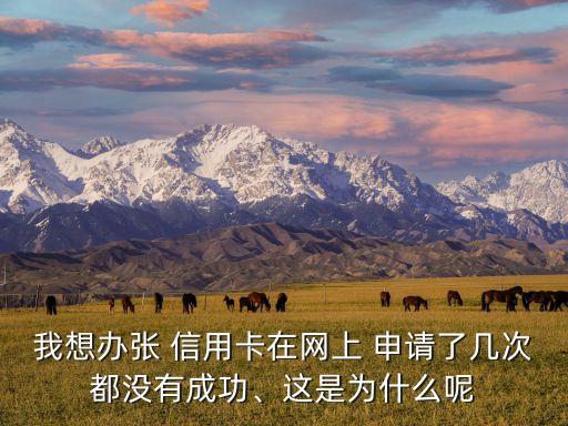我想办张 信用卡在网上 申请了几次都没有成功、这是为什么呢