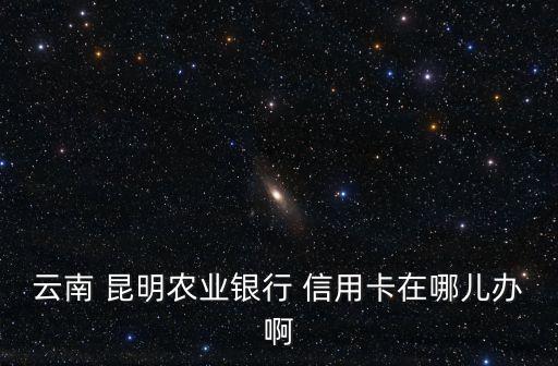 云南 昆明农业银行 信用卡在哪儿办啊