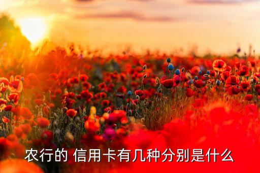 农业银行信用卡办什么样的