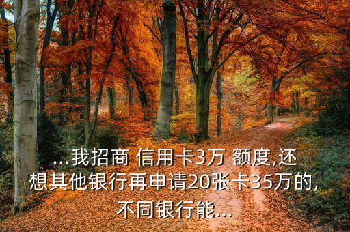 ...我招商 信用卡3万 额度,还想其他银行再申请20张卡35万的,不同银行能...