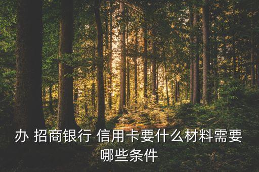 办 招商银行 信用卡要什么材料需要哪些条件