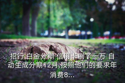 招行 白金分期 信用卡刷了一万 自动生成分期12月,按照他们的要求年消费8...