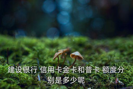 建行星级对应的信用卡额度,建行信用卡额度多久可以调整一次